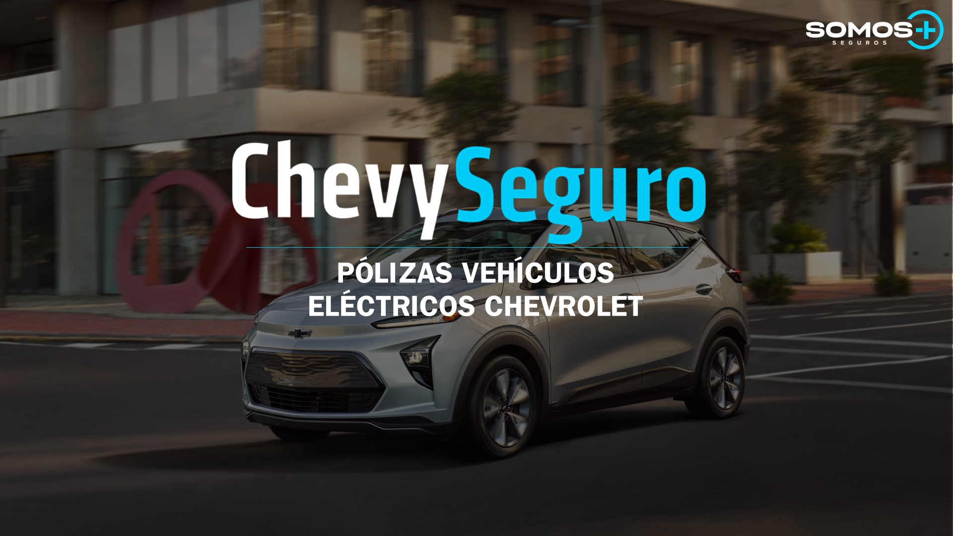 Segmento Eléctricos